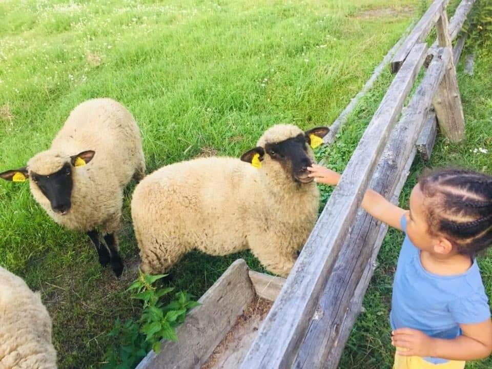 Namelis Nr 1 Adeles Sodyba Sturmai 외부 사진